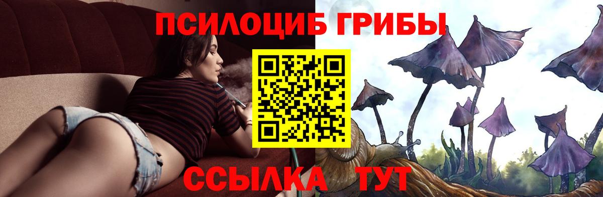 Псилоцибиновые грибы прущие грибы  Вход с VPN  Саранск 